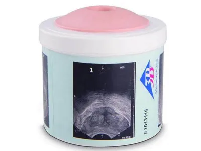 1013116 Тренажер для обследования простаты, 4 стадии