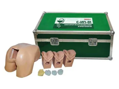 М0087 Тренажер для освоения навыков ректального обследования предстательной железы