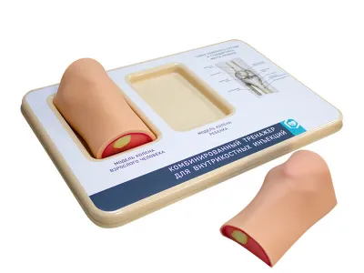 М0014 Комбинированный тренажер для внутрикостных инъекций