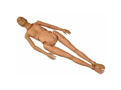 P10054 Манекен-симулятор для отработки навыков хирургической обработки ран, ухода за трахеостомой и наложения швов