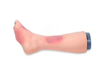 P1067 Тренажер для отработки навыков ухода при диабетической стопе