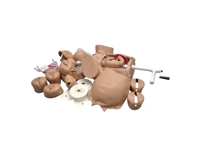 Акушерский симулятор Obstetric Susie_1