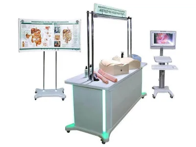 МУ0019 Лабораторно-диагностический учебный комплекс «Желудочно-кишечный тракт»