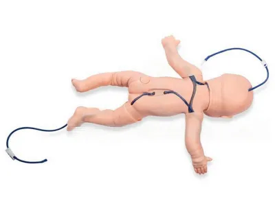 P10029 Тренажер для отработки навыков внутривенных инъекций, инфузий и пункции вен младенца