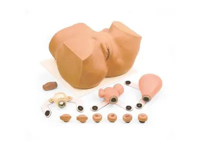 Гинекологический тренажер