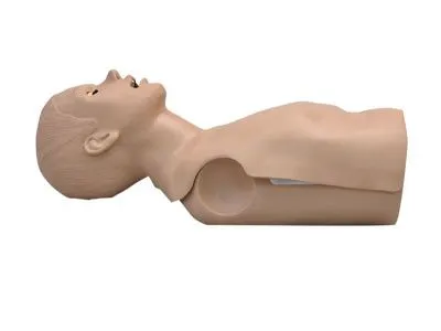 1022057 Тренажер Саймон для отработки приёма Геймлиха и СЛР с обратной связью, торс