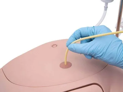 Тренажер катетеризации PRO_2