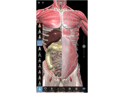 310_Интерактивная_панель_2