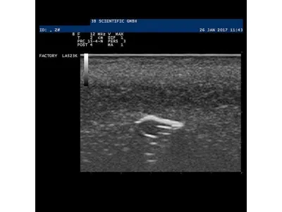 1019636 Модель инородного тела SONOtrain™ для УЗИ
