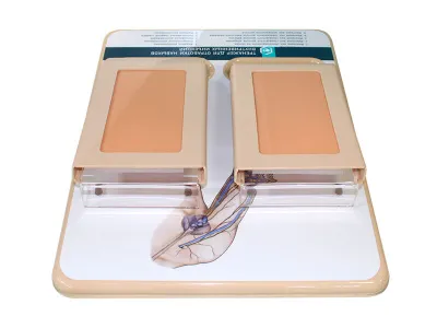 М0059 Тренажер для отработки навыков внутривенных инъекций (на фантомах с различной степенью венозной доступности)