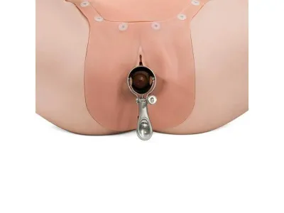 1021592 Гинекологический учебный тренажер для развития диагностических навыков