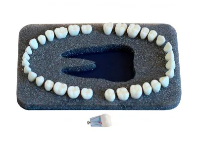 М0266 Комплект из 32 модельных зубов З-32Э