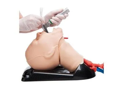 1021550 Расширенный тренажер AirSim Combo Bronchi X для практики с дыхательными путями