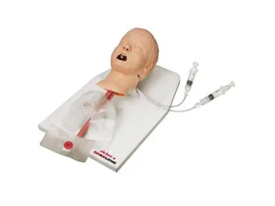 1005698 Усовершенствованная учебная модель ребенка для введения дыхательной трубки