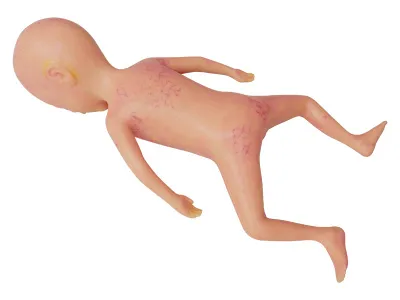 310_МУ0810_Манекен_недоношенного_3