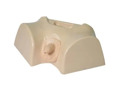 М0486 Фантом мужской промежности для катетеризации