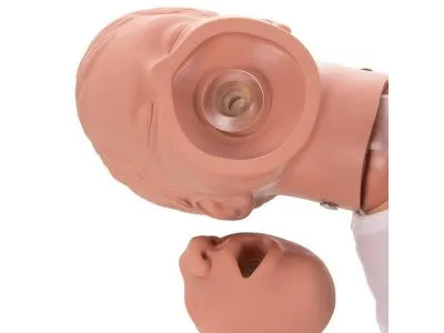 1005733 Тренажер сердечно-легочной реанимации ребенка, 3 года