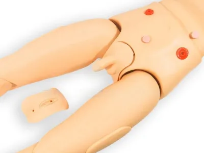 ВОЛОДЯ Перелом 2 Манекен для оказания первой помощи - замена промежности