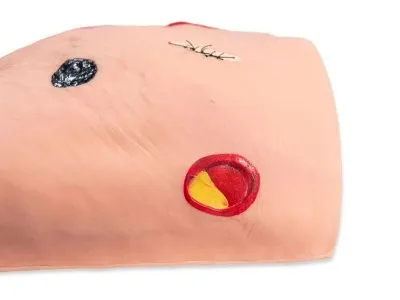 P1003 Тренажер навыков ухода за пролежнями