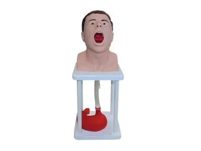 Тренажер зондирования и промывания желудка человека