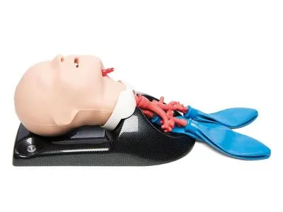 1015530 Модель AirSim Advanced для интубации с разветвленной бронхиальной сетью