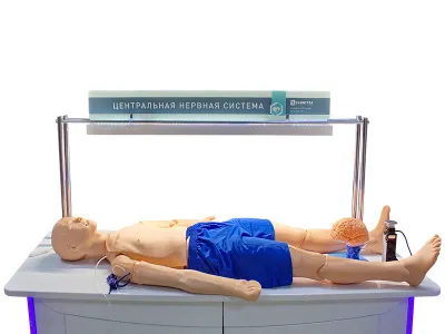 310_Комплекс_Центральная_нервная_система_2