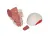 Модель черепа с лицевыми мышцами 3B Smart Anatomy_4