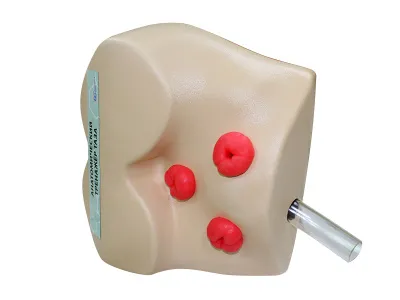 310_МУ0481_Тренажер_для_постановки_клизм_3