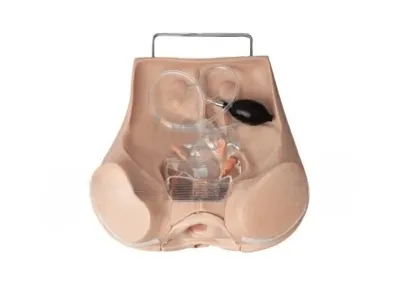 F35 Тренажер для отработки навыков гинекологического обследования, гистероскопии и кольпоскопии