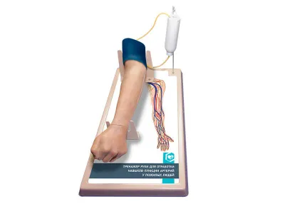М0510 Тренажер руки для отработки навыков пункции вен у пожилых людей