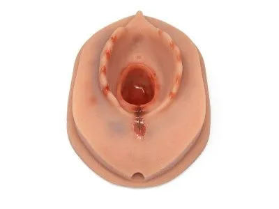 Модуль для обучения наложению швов к имитатору родов 1022879_1