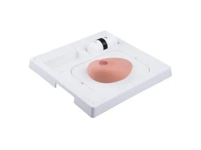 1019634 Модель молочной железы с кистами SONOtrain™ с возможностью УЗИ-обследования