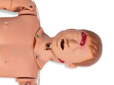 БОРИС манекен для отработки травм - голова