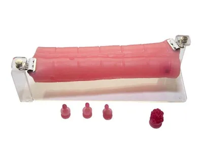 МУ0395 Пособие для отработки навыков лапароскопии «Поперечная ободочная кишка»