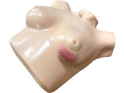 Расширенный тренажер для обследования молочных желез