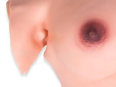 P1001 Модель исследования молочных желез (надеваемая)