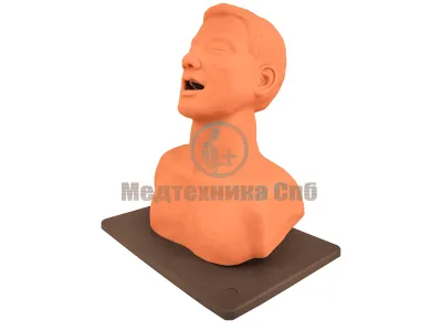 P10008 Тренажер диагностики голосовых связок Володя-ЛОР ВОКАЛ №2