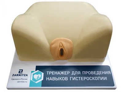 310_Тренажер_гистероскопии