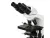 28089 Микроскоп биологический Микромед 2 (2-20 inf.)