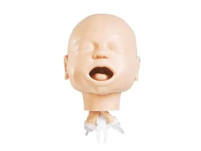 1017953 Симулятор работы с дыхательными путями младенца