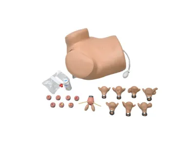 Гинекологический тренажер GYN/AID для обследования и исследования патологий 