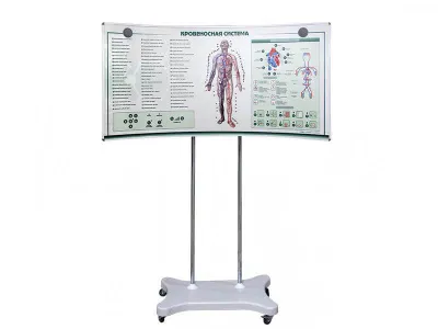 Лабораторно-диагностический учебный комплекс «Сердечно-сосудистая система»_2