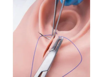 1019639 Акушерский тренажер эпизиотомии и наложения швов