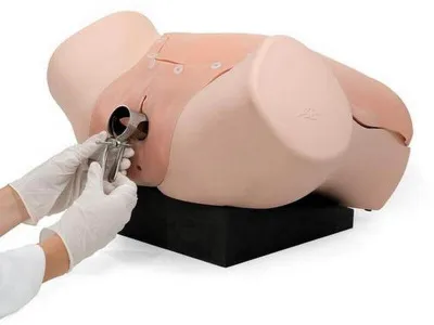 1021592 Гинекологический учебный тренажер для развития диагностических навыков