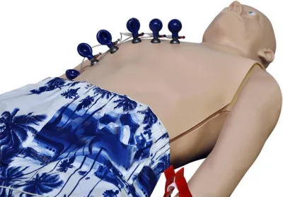 310_Имитатор_пациента_2