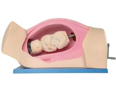 P6 Тренажер для демонстрации процесса родов