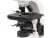 27990 Микроскоп биологический Микромед 2 (3-20 inf.)