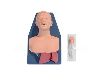 P11051 Манекен-симулятор для отработки навыков эндотрахеальной интубации
