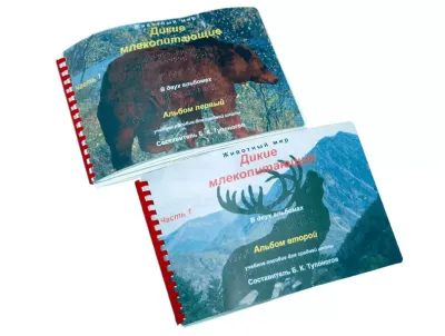 Пособие для детей с нарушением зрения. Дикие млекопитающие