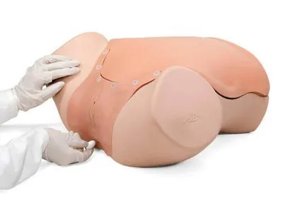 1021592 Гинекологический учебный тренажер для развития диагностических навыков